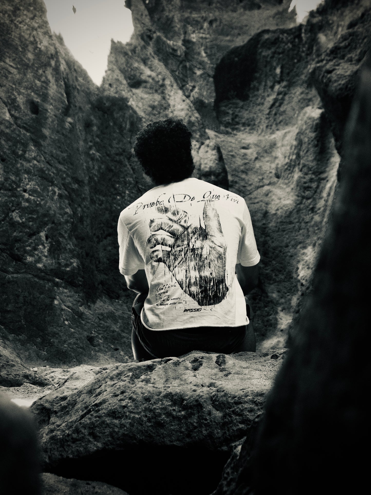 P.D.Q.V. Tee